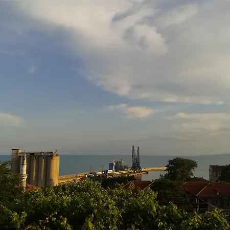 Guest Radost 巴尔奇克