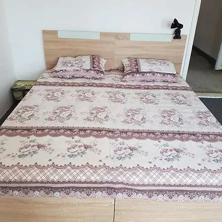 Guest Radost 招待所 2*