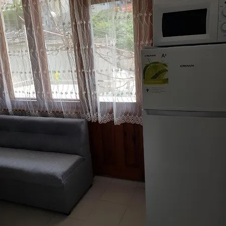 Guest Radost 招待所 巴尔奇克