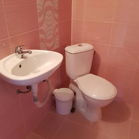 Guest Radost 2* 巴尔奇克