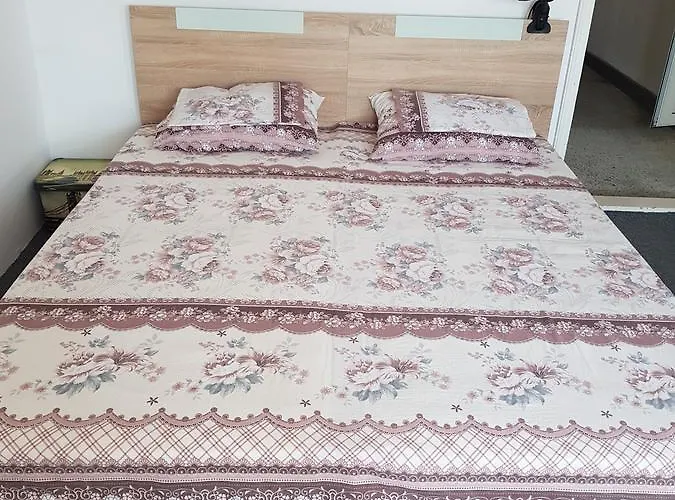 Guest Radost Πανσιόν 2*