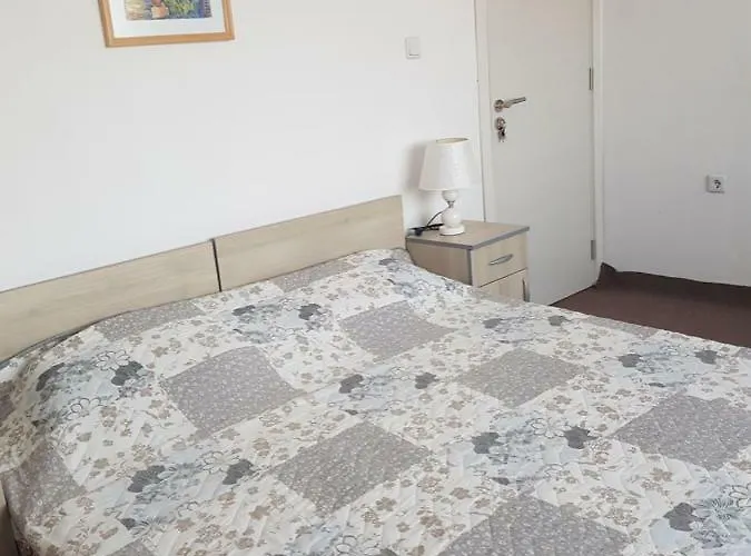 Πανσιόν Guest Radost 2*